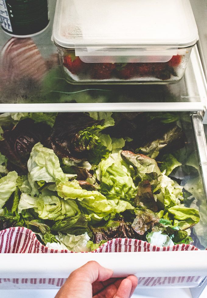 salad in the refrigerator