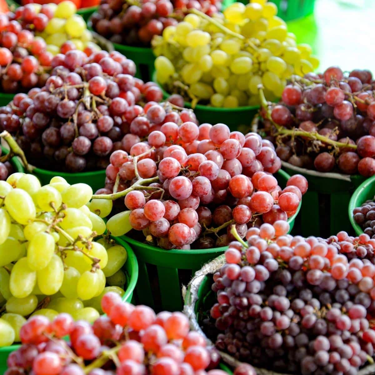 grapes last in the refrigerator