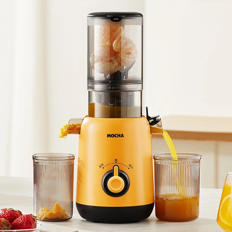 best juicer 2024