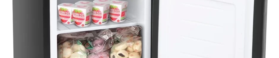 mini fridge with freezer under $100